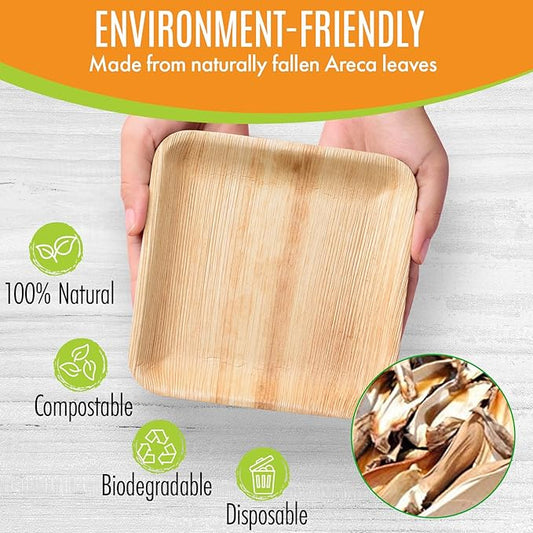 Raj Palm Leaf Plates [50-Pack] 8" Square Plates(200 Cases - 10,000 PACK) like Bamboo plates Disposable, Strong, Decorative Compostable Tableware for weddings, Lunch, Dinner, Birthday,Outdoor