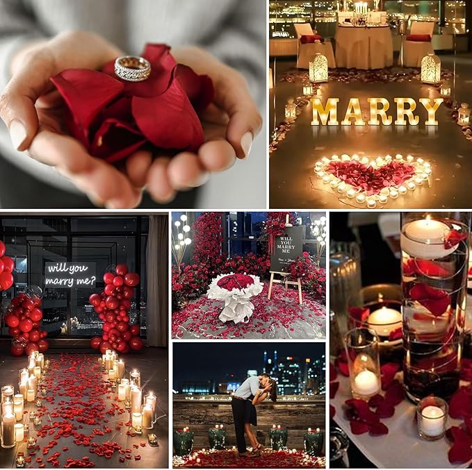 Real Dried Rose Petals – 300+PCS Freeze Dried Red Flower Petals for Weddings, Flower Girl Basket, Party Confetti, Romantic Night, Proposal Decor(2.82oz)
