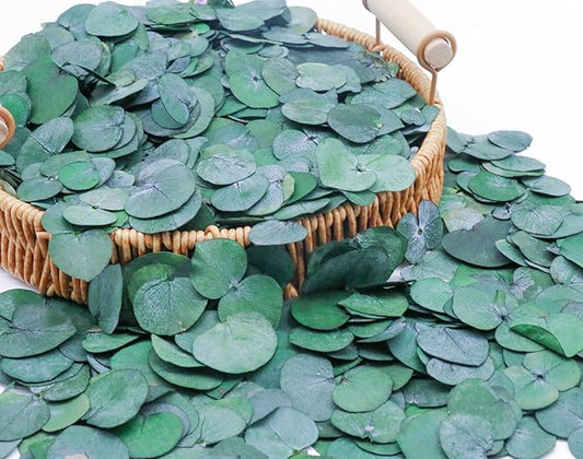 3200Preserved Real Eucalyptus Leaves Small, Pure Natural Bulk Eucalyptus, Biodegradable Wedding Leaves Confetti for Anniversaries, Birthday, Graduation, Bridal Showers, Party Decor