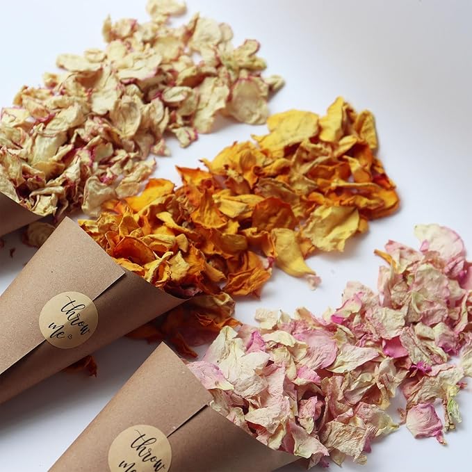 2.5 QT Dried Rose Flower Petals Biodegradable Confetti, 30 Cups Mix Real Natural White Pink Yellow Rose Petals for Wedding Proposal Party Valentine's Day Decor Flower Girls