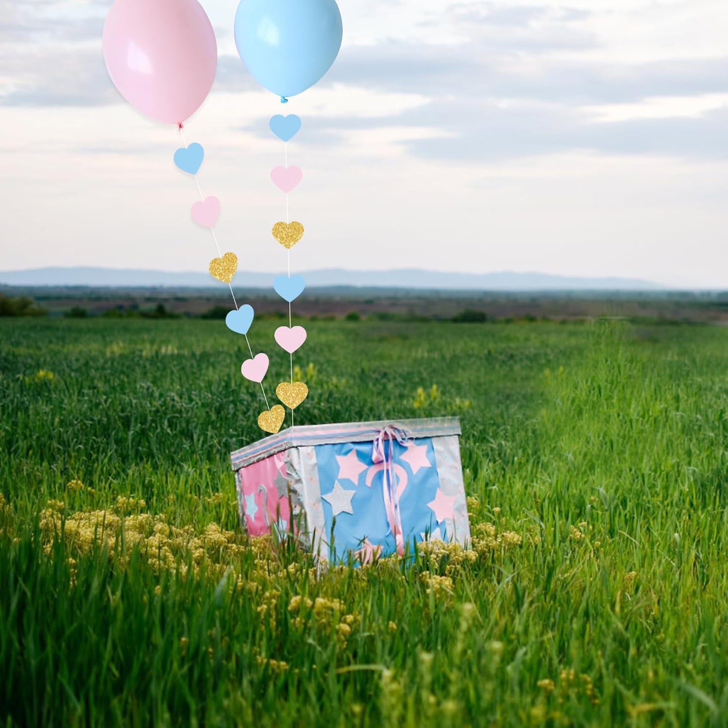 Boy or Girl Gender Reveal Decorations 6PC Pink Blue Balloon Tails with Heart Streamer Garland for Baby Shower Decorations