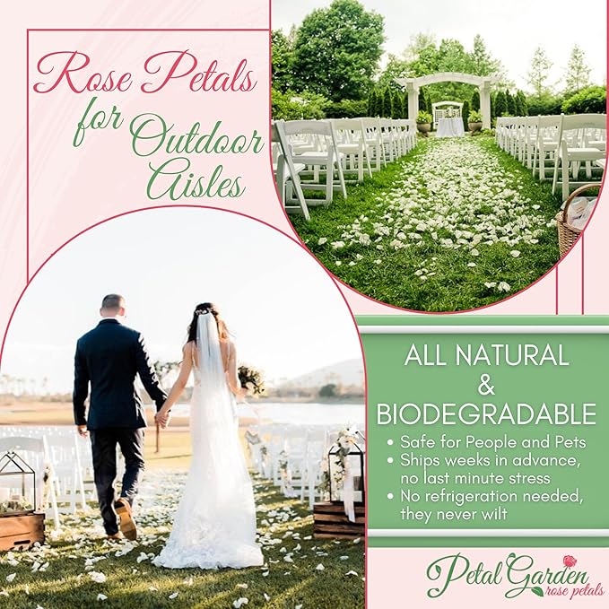 Rose Petals for Wedding Decoration, Bridal Toss, and Aisles, 10 cups, Freeze Dried, Use within 1 month (Ivory)