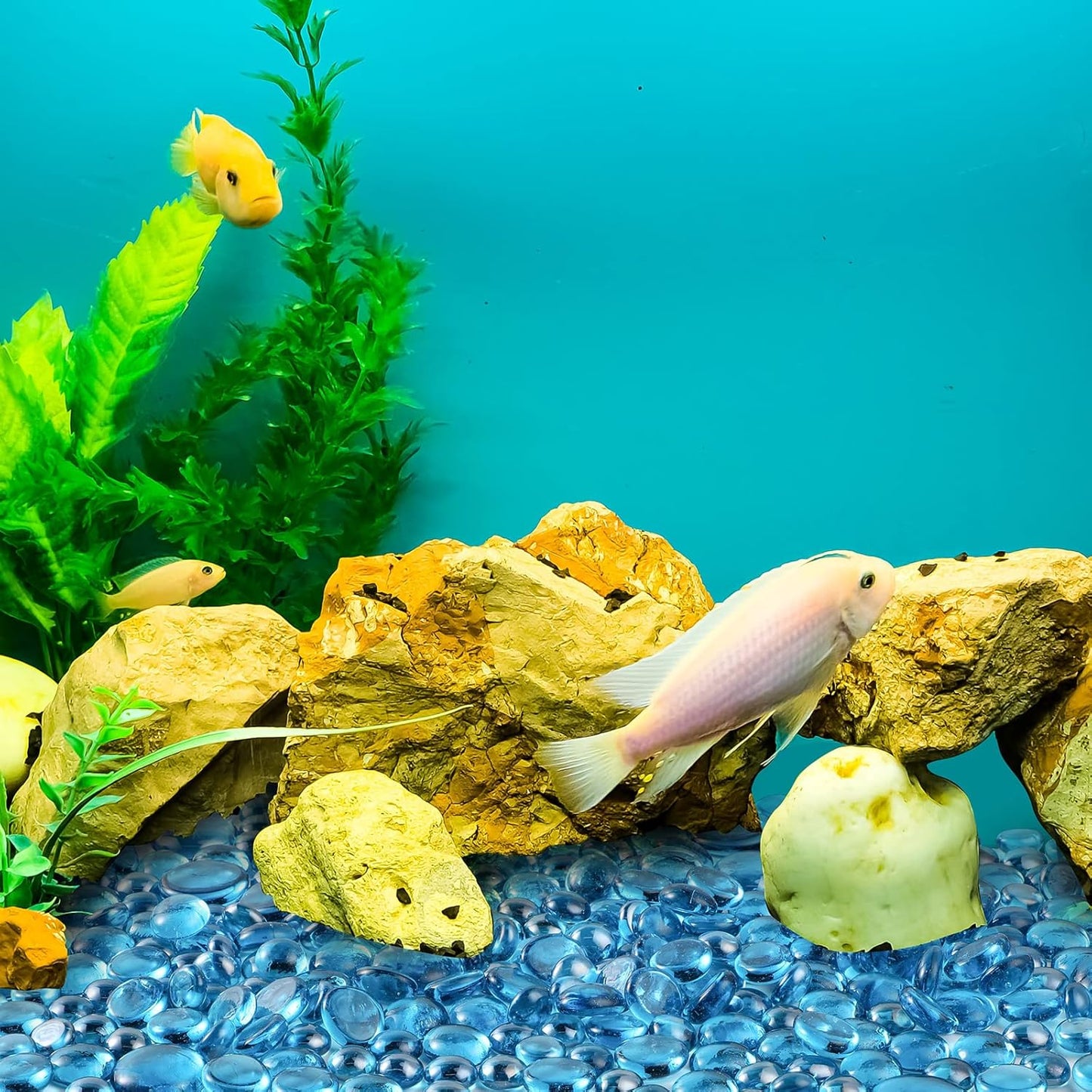 Honeydak 300 Pcs Flat Glass Marbles for Vases Glass Pebbles Floral Fish Tank Rocks for Vases Table Scatter Aquarium Decor (2.4LB) (Blue)