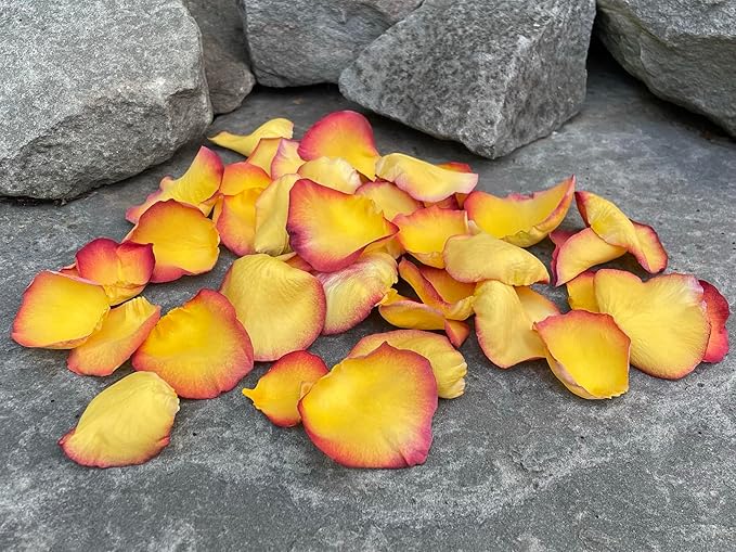 Rose Petals for Wedding Decoration, Bridal Toss, and Aisles, 10 cups, Freeze Dried, Use within 1 month (Tequila Sunrise)