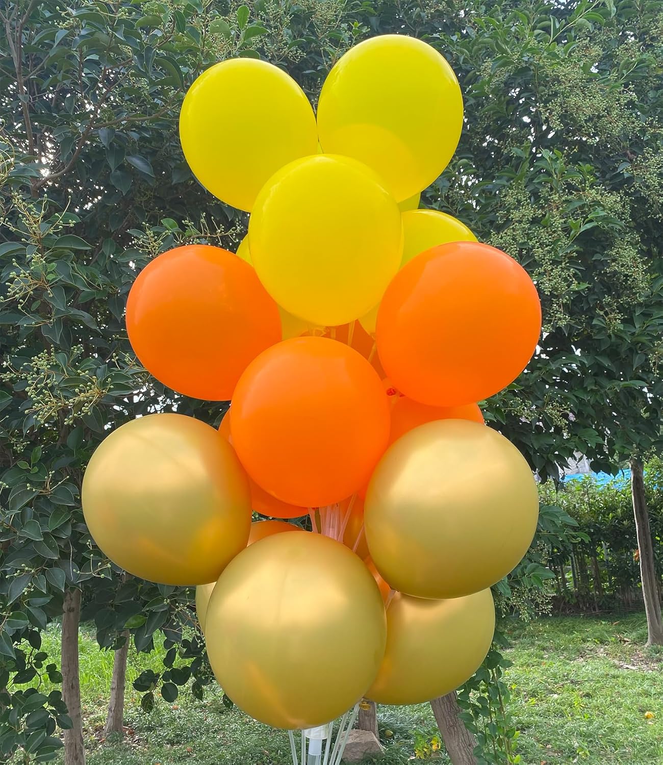 60 Pcs 12-Inch Latex Balloons in Yellow, Orange, and Gold - Perfect for Thanksgiving Day, Halloween, Graduations, Birthday, Fall Celebrations,Baby Shower, and Party Decorations