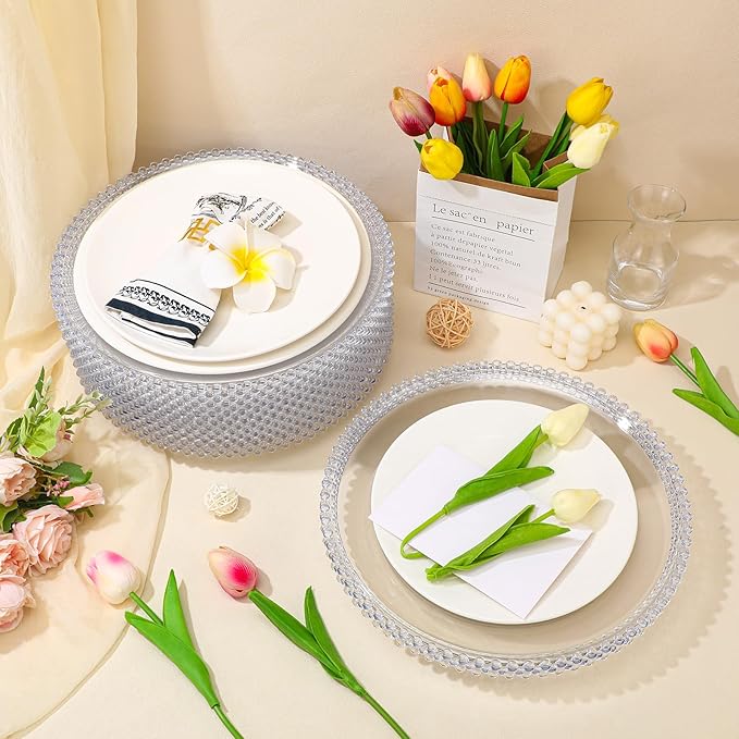 Hoolerry 12 Pcs Clear Charger Plates Bulk 13 Inch Plastic Round Dinner Plate with Beaded Rim Acrylic Round Plates Decorative Charger Service for Home Birthday Wedding Party Events Table Decor