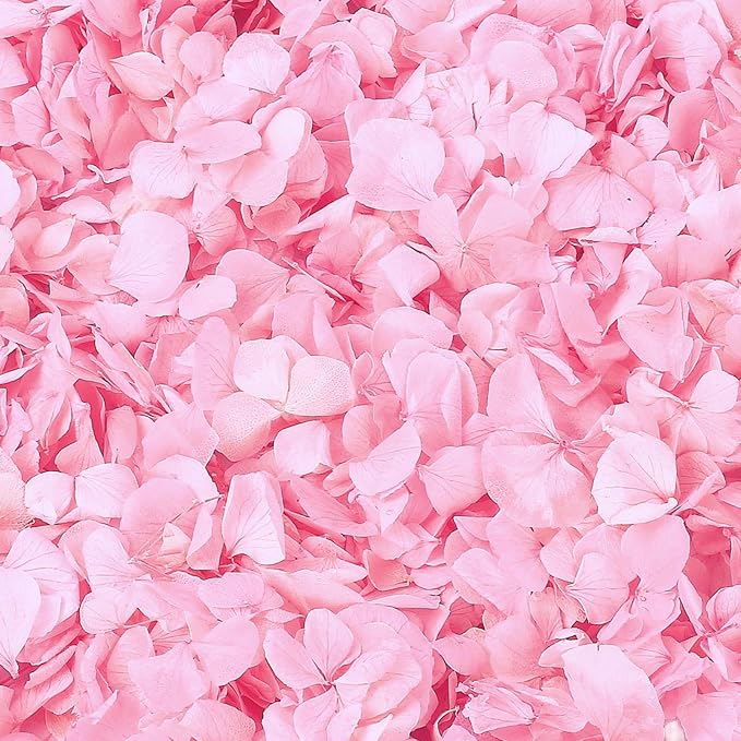 1500+ Real Dried Lvory White Hydrangea Petals - 0.88 oz Preserved Natural Flower Petals for Wedding Decor, Flower Girl, Party Confetti, Dinner Table Centerpieces, Handcrafts (Pink 1.06oz)
