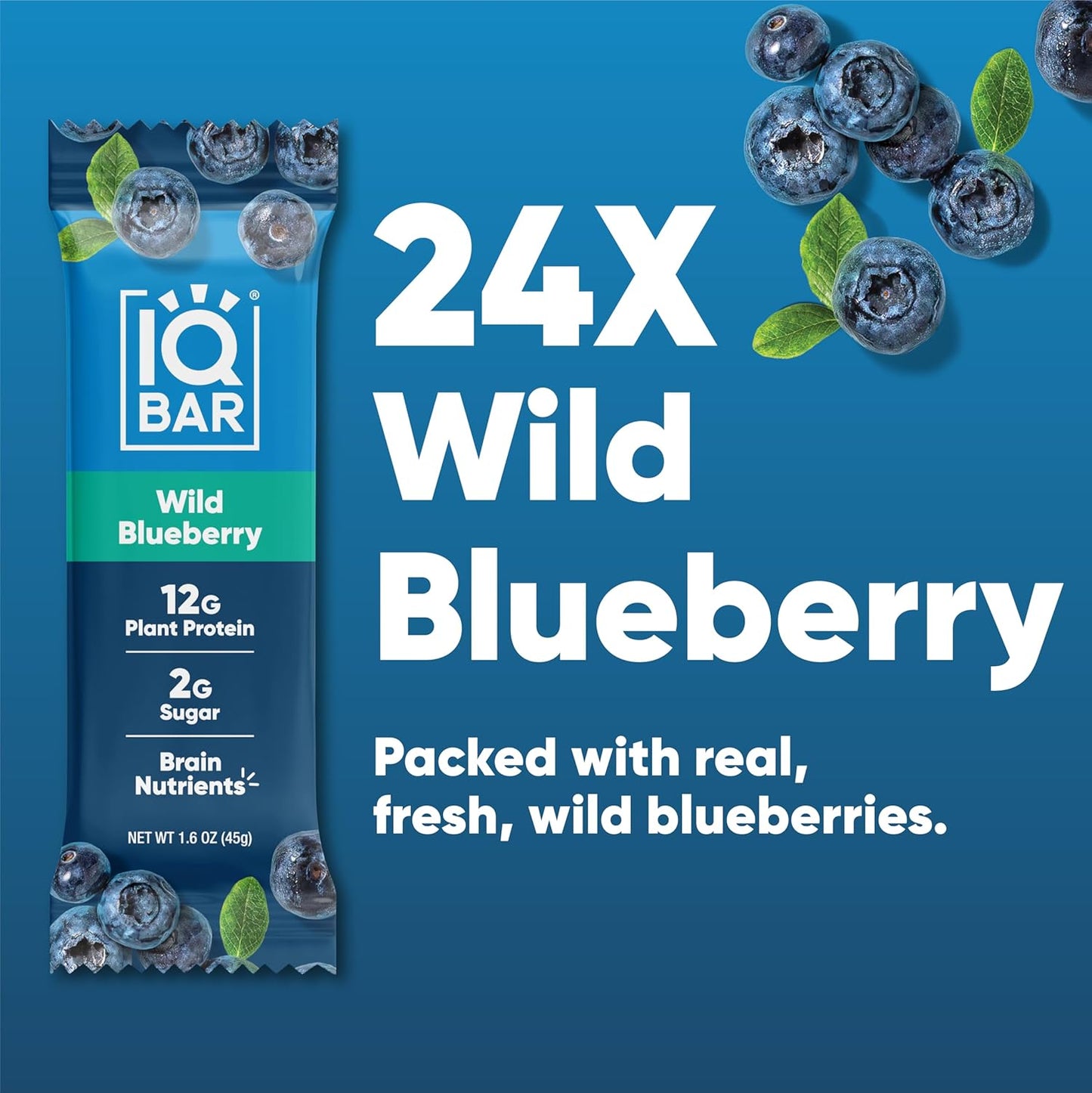 IQBAR Brain and Body Plant Protein Bars - Wild Blueberry - 24-Count - Keto, Vegan, Low Carb, High Fiber, Gluten Free, Dairy Free, Low Sugar Snack with Nutrients for Focus, Energy, Meal Replacement