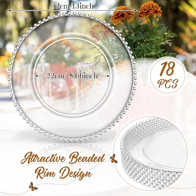 Zopeal 18 PCS Clear Charger Plates with Beaded Rim 13 Inch Plastic Round Charger Plates Bulk for Dinner Home Kitchen Wedding Party Tabletop (Clear)