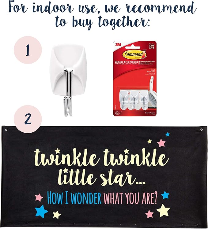 Gender Reveal Balloon Drop Bag | Twinkle, Twinkle Little Star
