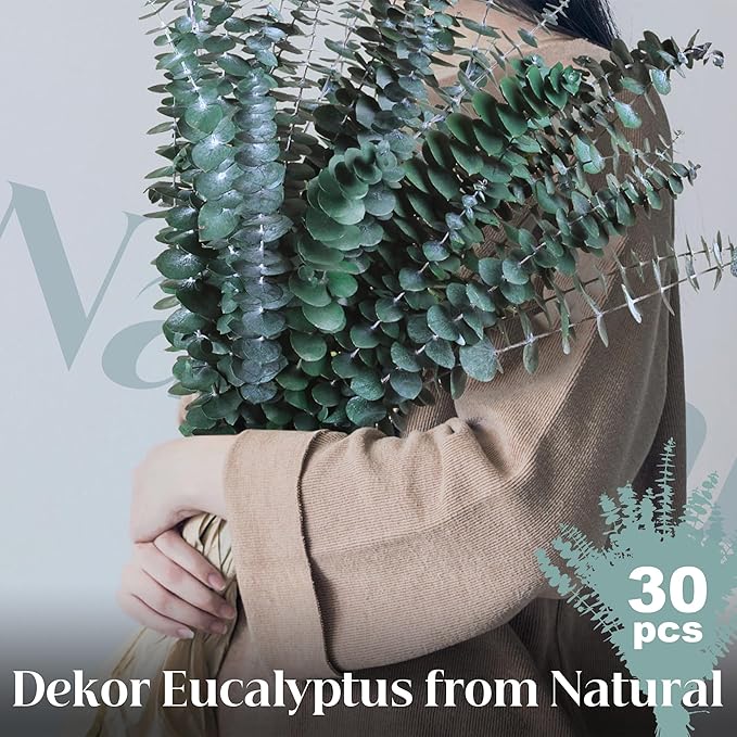 30Pcs Dried Eucalyptus Stems, 17" Real Preserved Eucalyptus Plant for Shower, Fresh Natural Branches for Vase, Eucalyptus Bundle for Home Decor, Wedding, Baby Shower, Bathroom