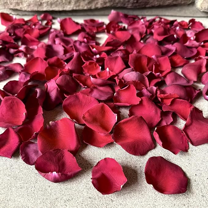 Rose Petals for Wedding Decoration, Bridal Toss, and Aisles, 10 cups, Freeze Dried, Use within 1 month (Red)