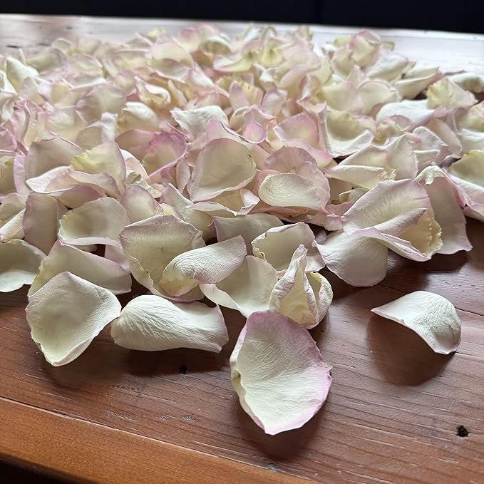 Rose Petals for Wedding Decoration, Bridal Toss, and Aisles, 10 cups, Freeze Dried, Use within 1 month (Whisper)