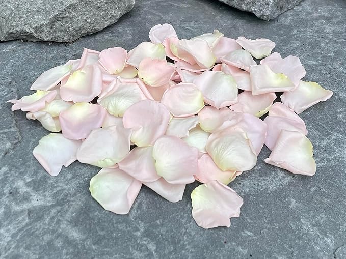 Rose Petals for Wedding Decoration, Bridal Toss, and Aisles, 10 cups, Freeze Dried, Use within 1 month (Blush)