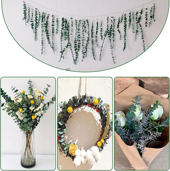20 Pcs Preserved Dried Eucalyptus Stems, 17" Natural Fresh Eucalyptus Branches for Shower, Real Plant for Vase Filler, Dried Flowers Arrangement, Floral Home Decor