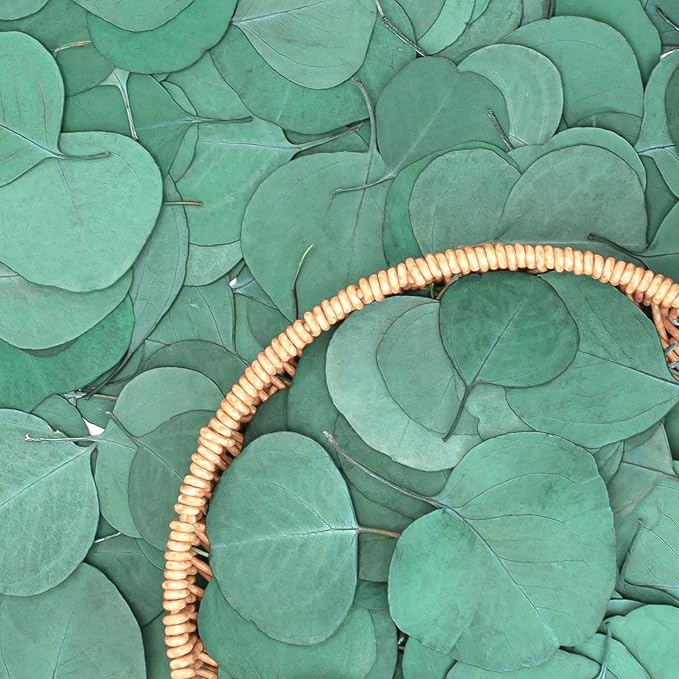 600+ PCS Eucalyptus Leaves, Rustic Boho Wedding Table Decor, 100% Natural Preserved Silver Dollar Eucalyptus Decor Green Leaves, Biodegradable Confetti for Weeding, DIY