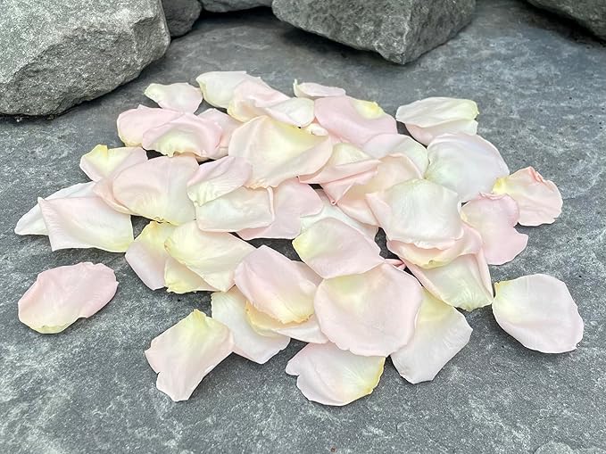 Rose Petals for Wedding Decoration, Bridal Toss, and Aisles, 10 cups, Freeze Dried, Use within 1 month (Blush)