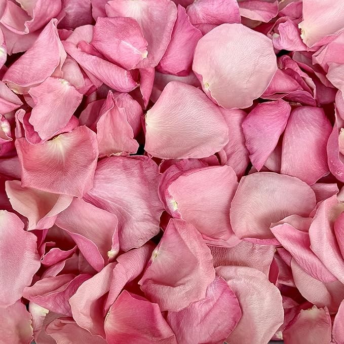 Rose Petals for Wedding Decoration, Bridal Toss, and Aisles, 10 cups, Use within 1 month (Pink)