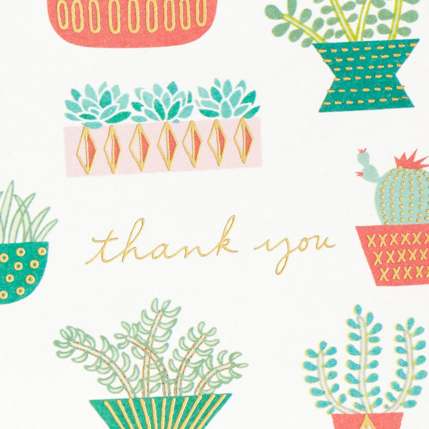 Hallmark Thank You Cards Assortment, Cactus (50 Thank You Notes with Envelopes)