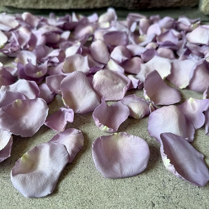 Rose Petals for Wedding Decoration, Bridal Toss, and Aisles, 10 cups, Freeze Dried, Use within 1 month (Lavender)