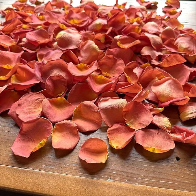 Rose Petals for Wedding Decoration, Bridal Toss, and Aisles, 10 cups, Freeze Dried, Use within 1 month (Coral)