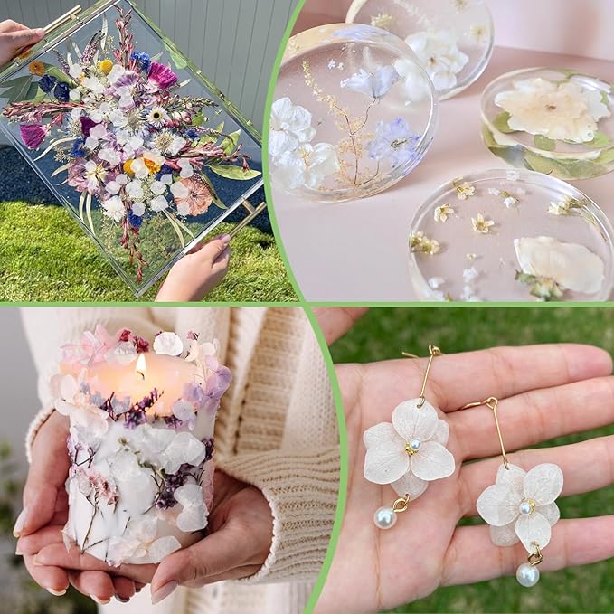 1250+ Real Dried Lvory White Hydrangea Petals - 0.88 oz Preserved Natural Flower Petals for Wedding Decor, Party Confetti, Dinner Table Centerpieces, Handcrafts
