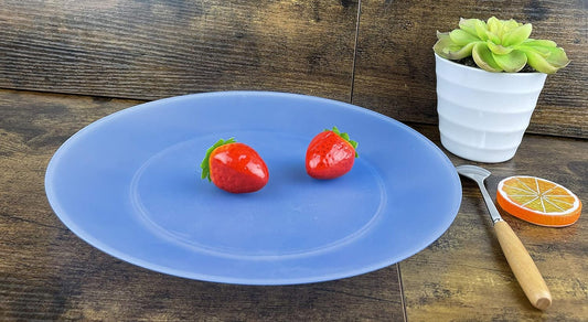AOYITE 10 inch Plastic Plates Reusable - Lightweight Flat Dinner Plates set of 12 - BPA Free Dishwasher Safe & Microwave Plate for Kids Kitchen Party Camping Outdoor