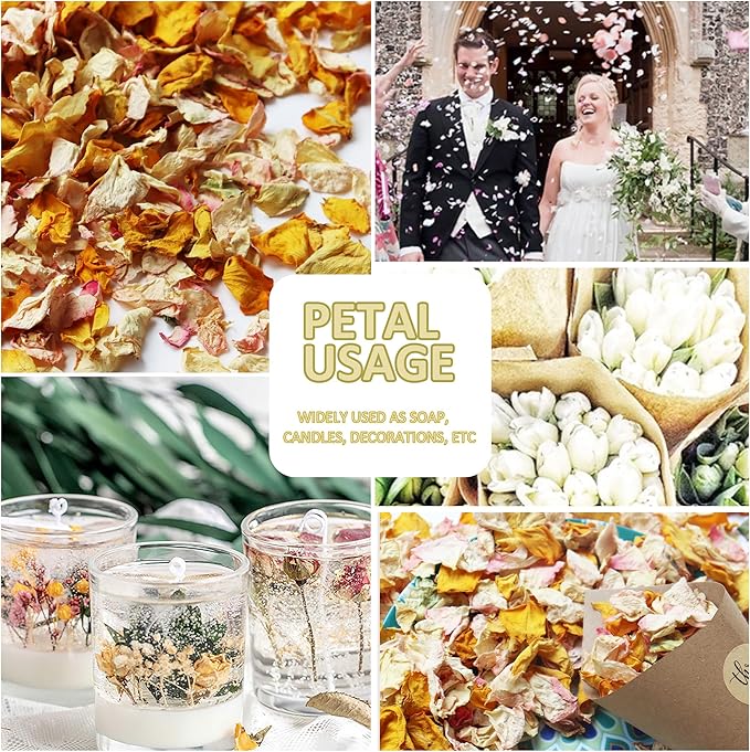 2.5 QT Dried Rose Flower Petals Biodegradable Confetti, 30 Cups Mix Real Natural White Pink Yellow Rose Petals for Wedding Proposal Party Valentine's Day Decor Flower Girls