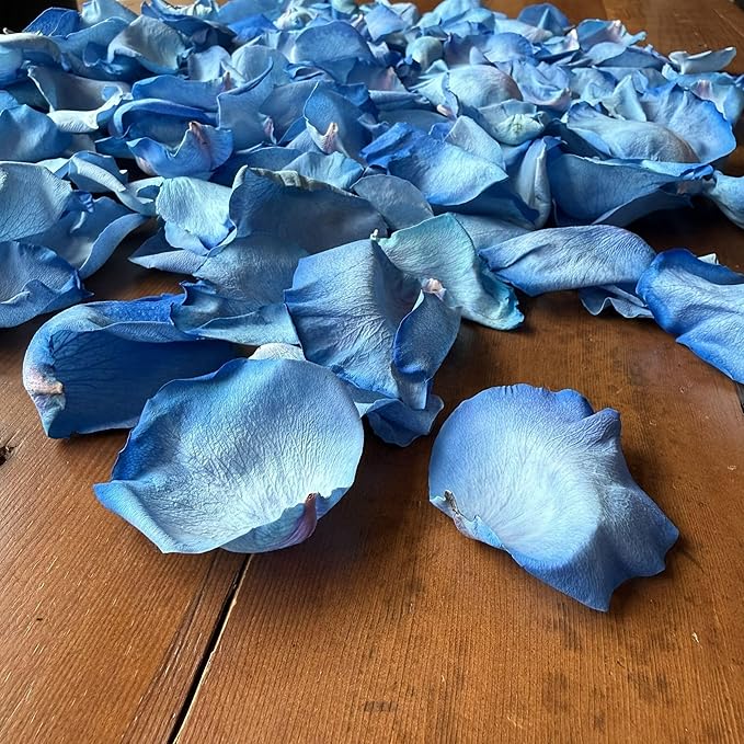 Rose Petals for Wedding Decoration, Bridal Toss, and Aisles, 10 cups, Freeze Dried, Use within 1 month (Blue)