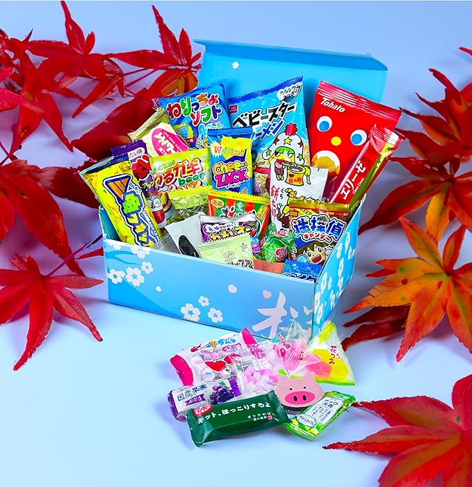 Japanese Snacks & Candy Dagashi with English Pamphlet 30 Pieces Custom Gift Set (Box)