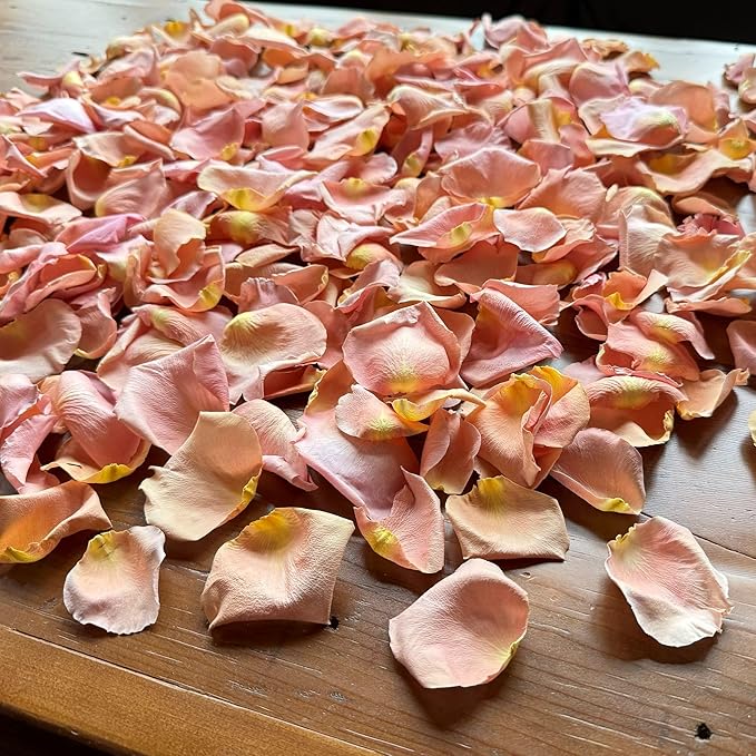 Rose Petals for Wedding Decoration, Bridal Toss, and Aisles, 10 cups, Freeze Dried, Use within 1 month (Peach)