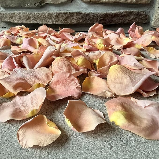 Rose Petals for Wedding Decoration, Bridal Toss, and Aisles, 10 cups, Freeze Dried, Use within 1 month (Peach)