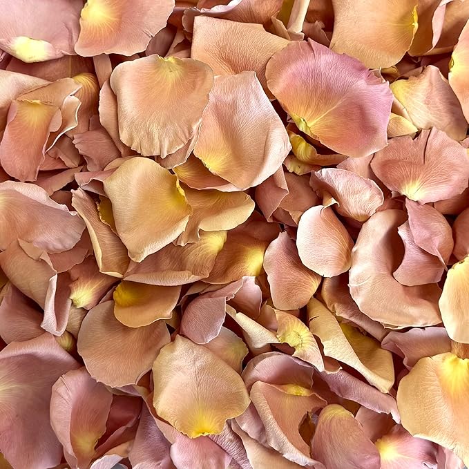 Rose Petals for Wedding Decoration, Bridal Toss, and Aisles, 10 cups, Freeze Dried, Use within 1 month (Peach)