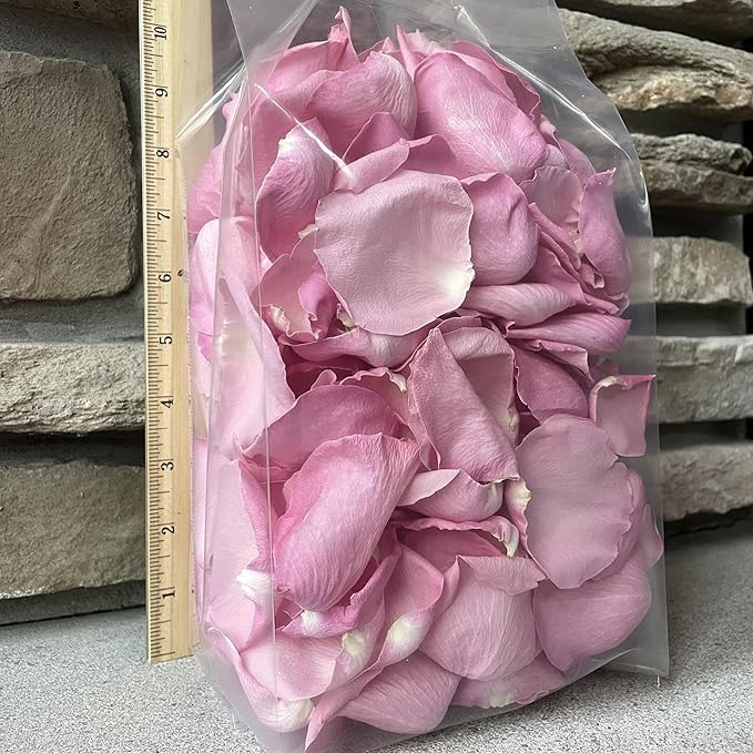 Rose Petals for Wedding Decoration, Bridal Toss, and Aisles, 10 cups, Use within 1 month (Pink)