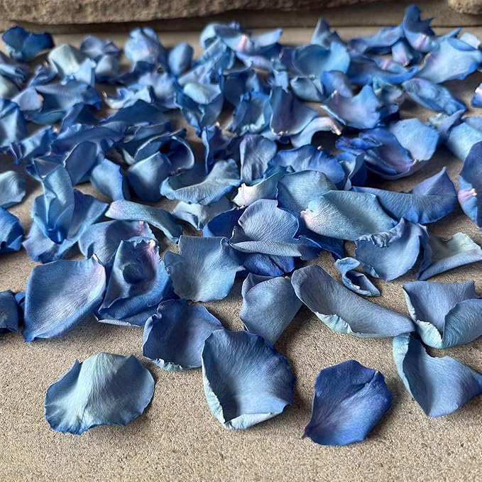 Rose Petals for Wedding Decoration, Bridal Toss, and Aisles, 10 cups, Freeze Dried, Use within 1 month (Blue)